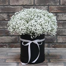 Цветочная композиция из Гипсофила в шляпной коробке в Хомутовке