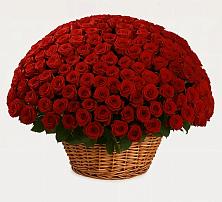 Премиум букет из: Розы в Хомутовке